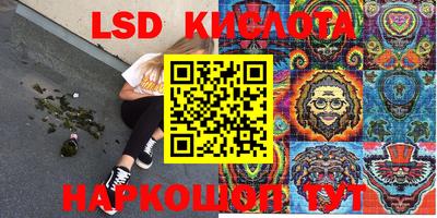 амф Камышлов