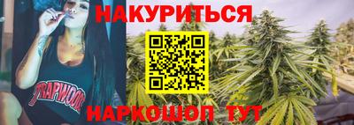 индика Кандалакша