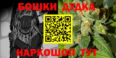 амф Камышлов
