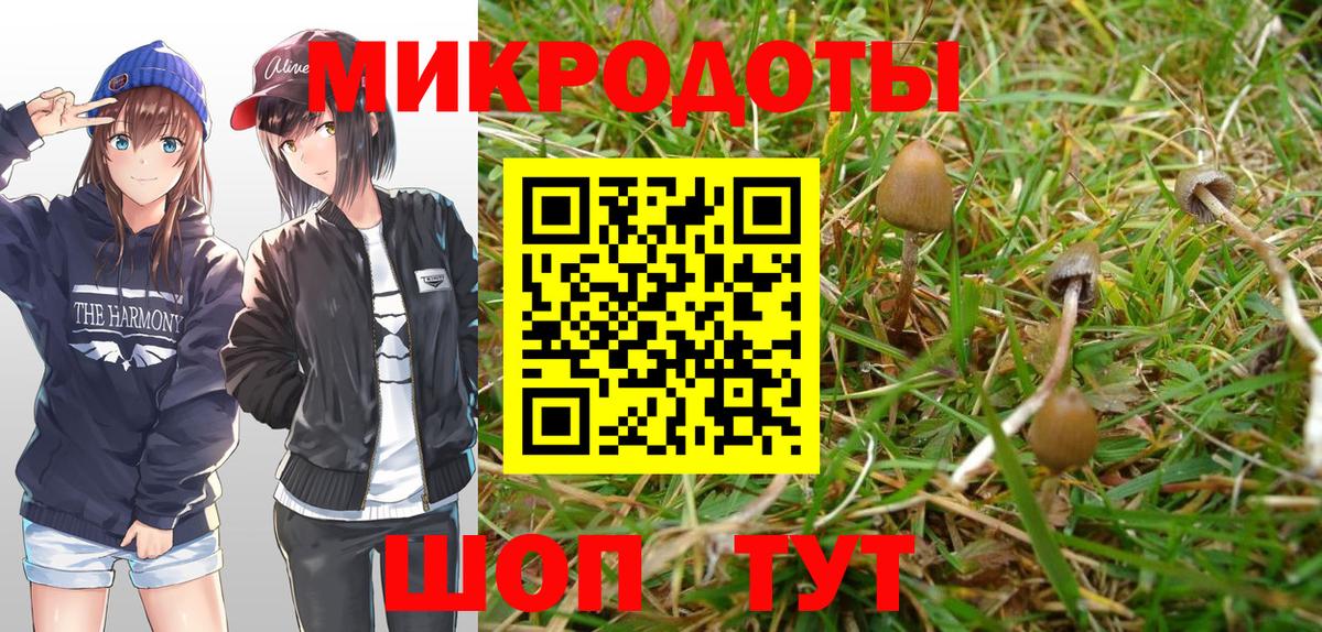 Кузнецк  Галлюциногенные грибы Magic Shrooms  Вход с VPN 