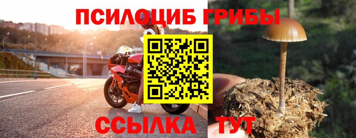 Галлюциногенные грибы MAGIC MUSHROOMS Кузнецк